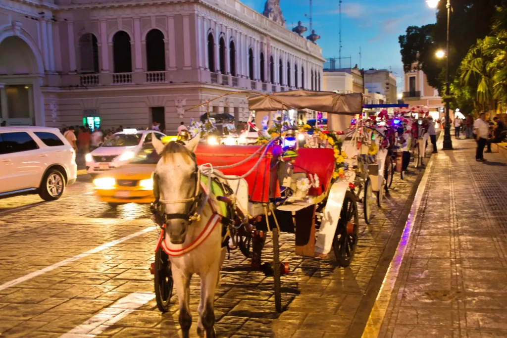 Mérida Yucatán — turismo y transporte